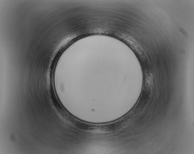 X0000116420678201001051126