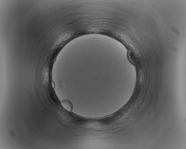 X0000116420685201001051126