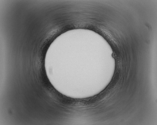 X0000116420687201001051126