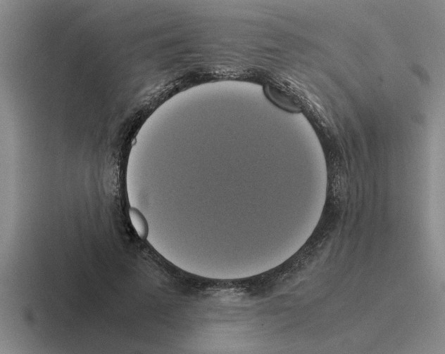 X0000116420689201001051126