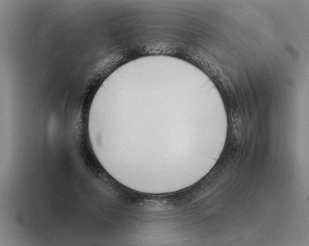X0000116420690201001051126