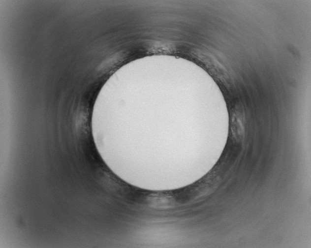 X0000116420714201001051126