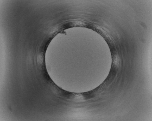 X0000116420715201001051126
