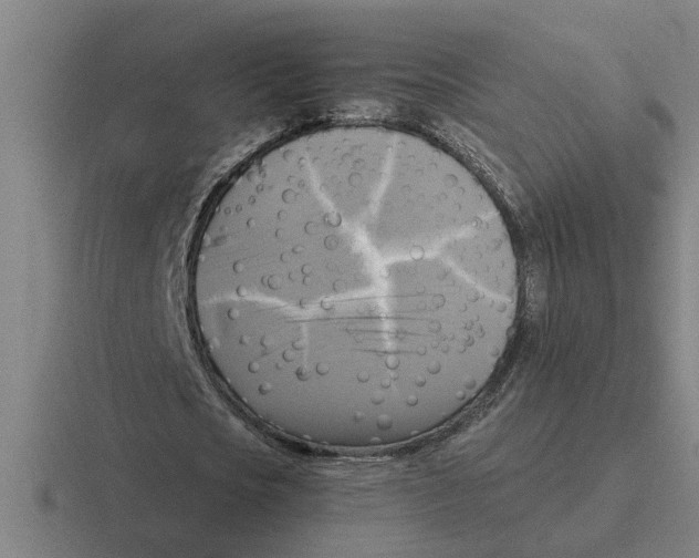 X0000116420721201001051125