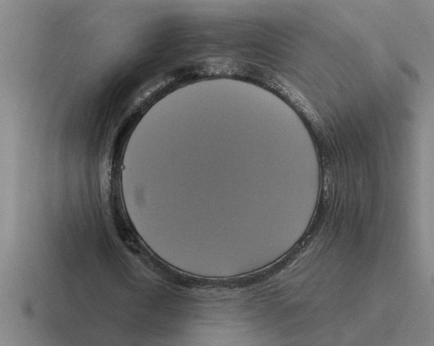X0000116420722201001051125
