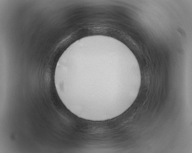 X0000116420733201001051125