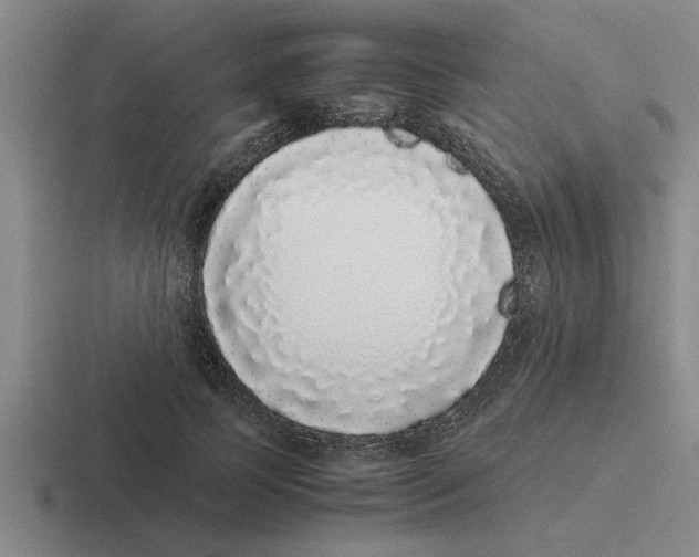 X0000116420745201001051125