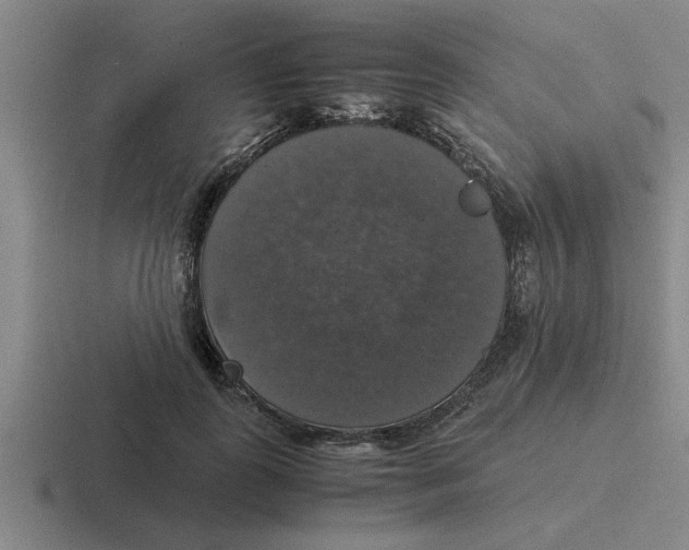 X0000116420747201001051126