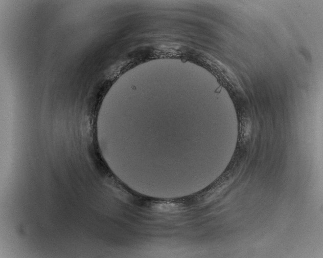 X0000116420759201001051126
