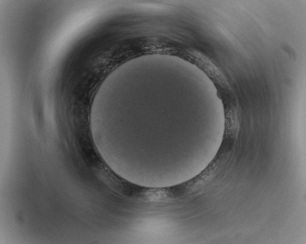 X0000116420762201001051126