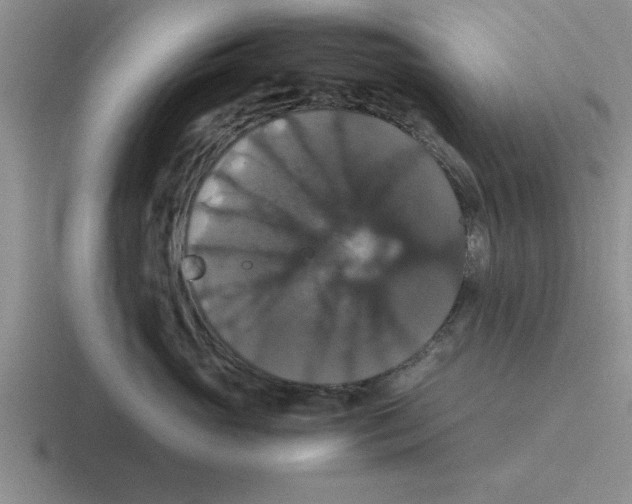 X0000116420765201001051126
