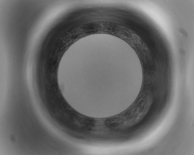 X0000116420766201001051126