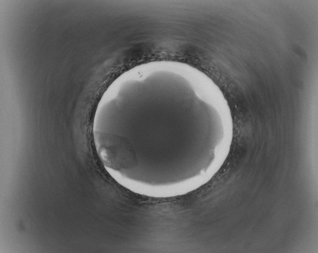 X0000116420769201001051125