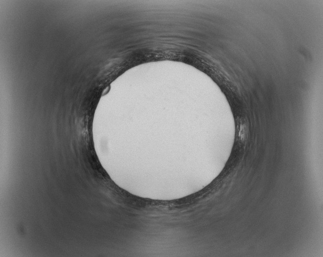 X0000116420771201001051125