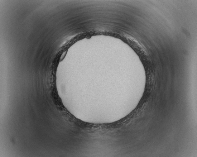 X0000116420776201001051125