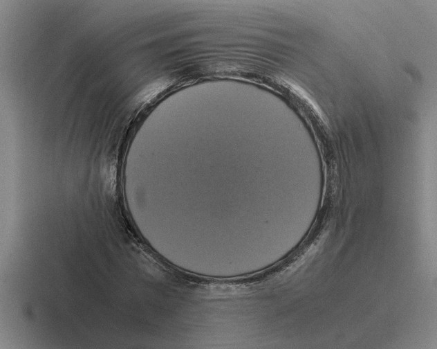 X0000116420777201001051125