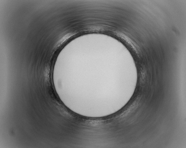 X0000116420778201001051125