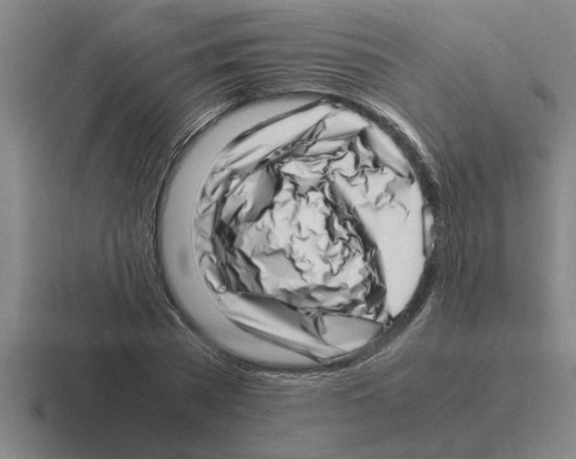 X0000116420785201001051125