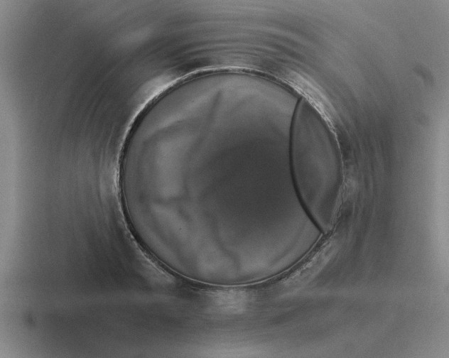 X0000116420797201001051125