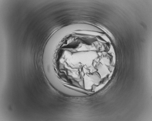 X0000116420809201001051125