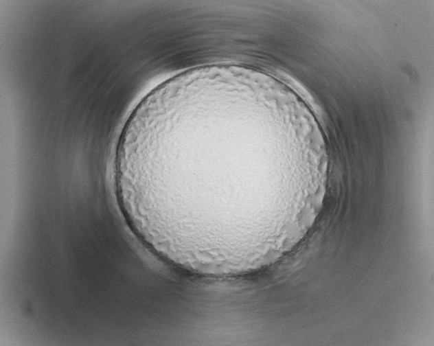 X0000116420811201001051125