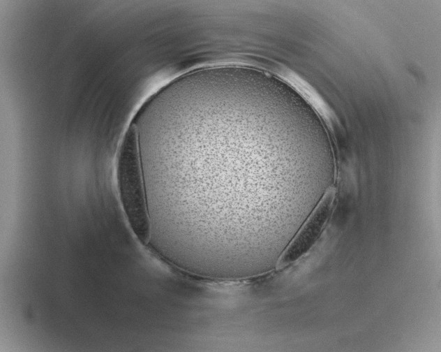 X0000116420813201001051125