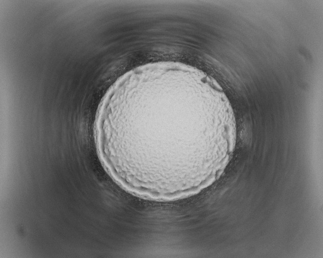 X0000116420819201001051124