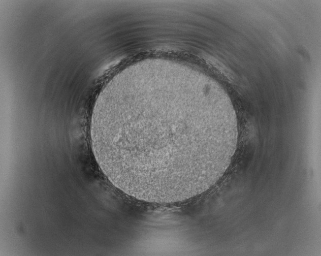 X0000116420824201001051124