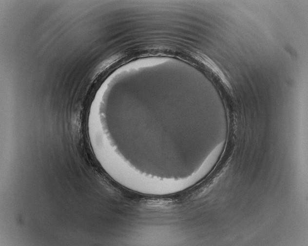 X0000116420826201001051124
