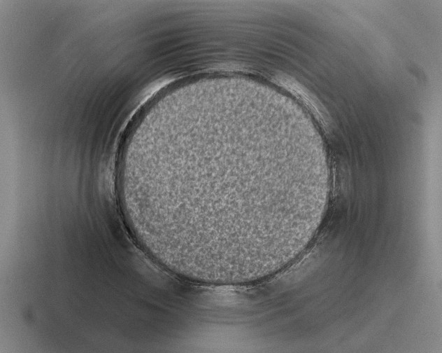 X0000116420828201001051124