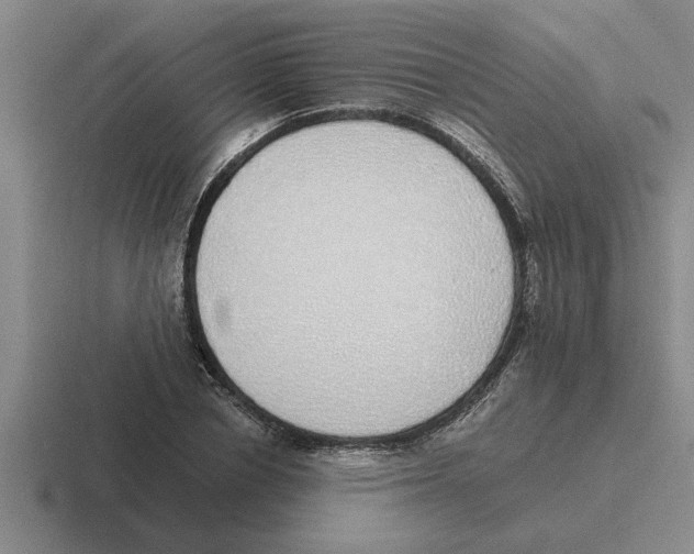X0000116420834201001051124