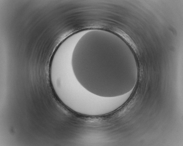 X0000116420850201001051124