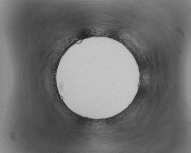 X0000116420865201001051124