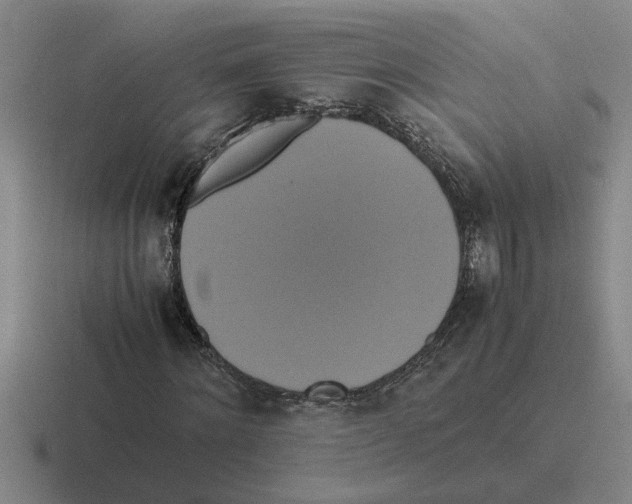 X0000116420868201001051124