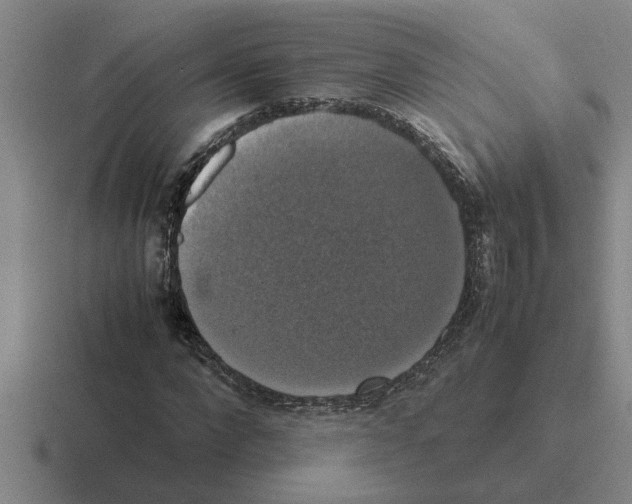 X0000116420872201001051124
