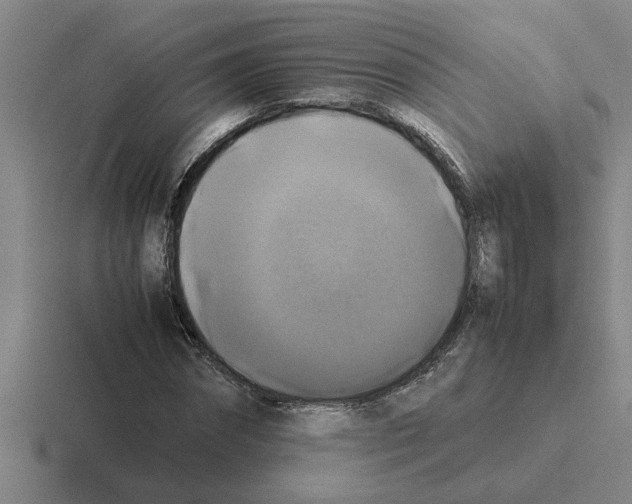 X0000116420874201001051124