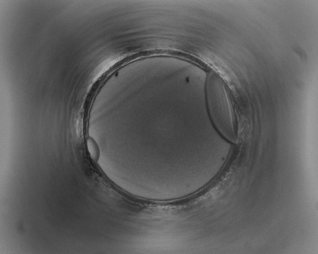 X0000116420877201001051124