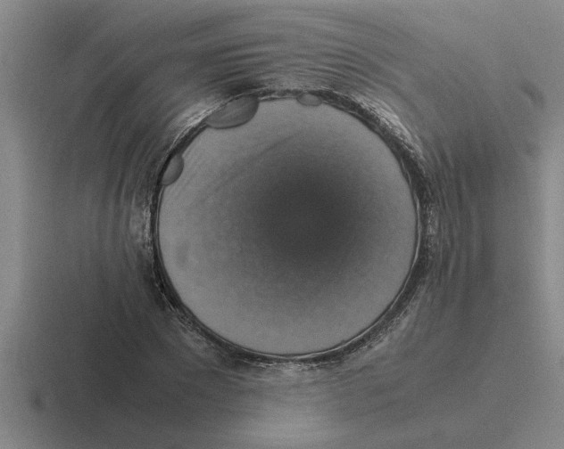 X0000116420881201001051124