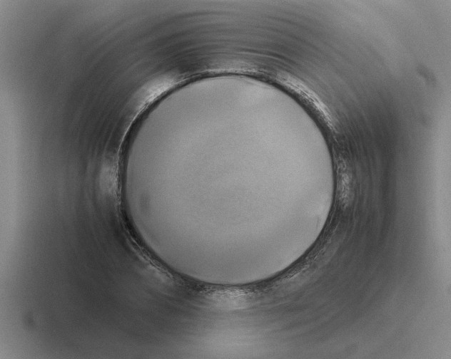 X0000116420882201001051124