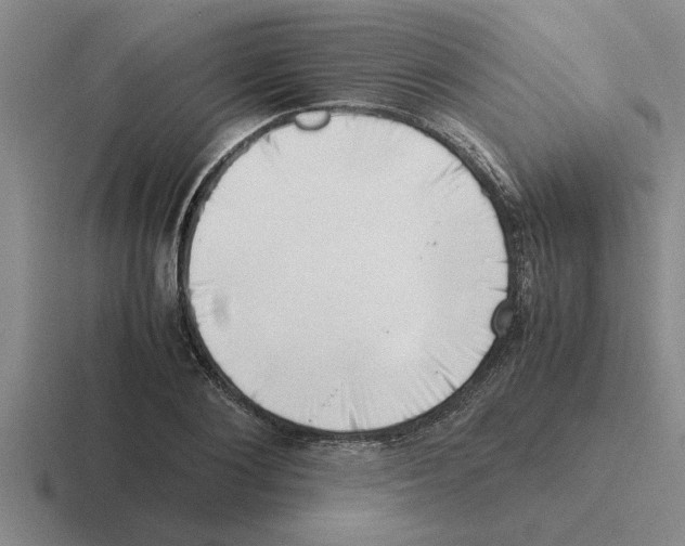X0000116420884201001051124
