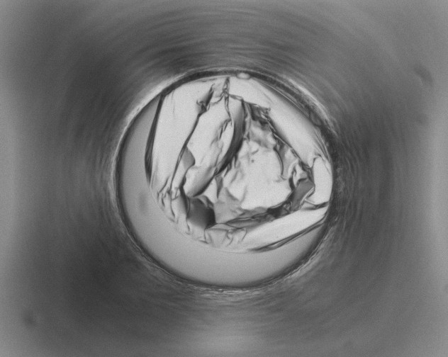 X0000116420885201001051124