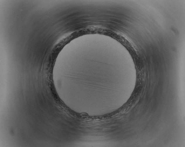 X0000116420919201001051123