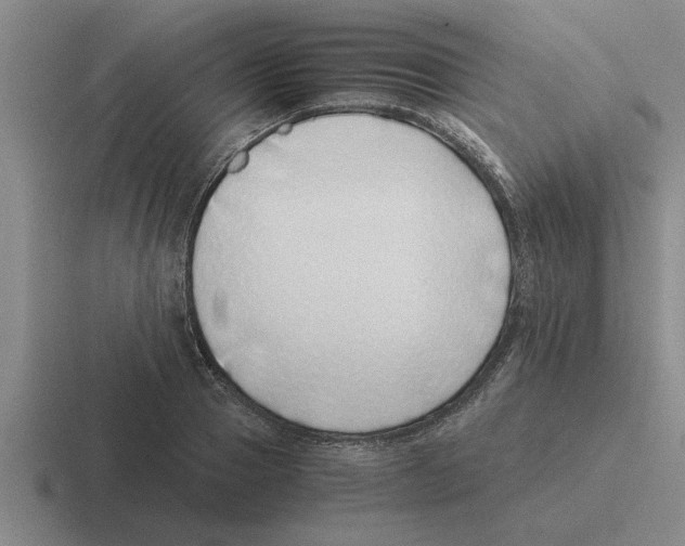 X0000116420937201001051123