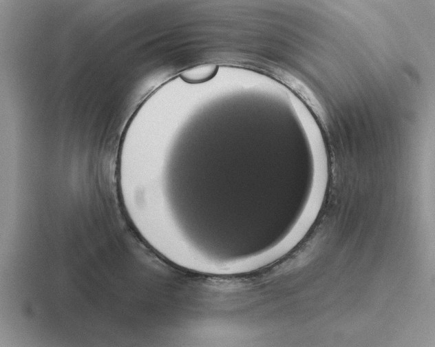 X0000116420954201001051123
