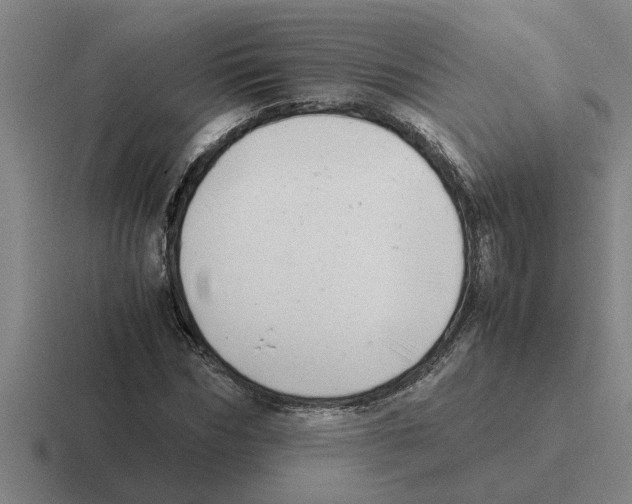 X0000116420970201001051123