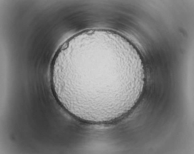X0000116420990201001051122