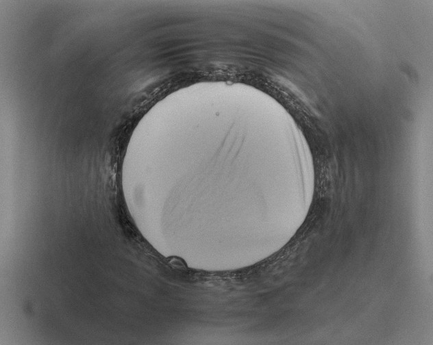 X0000116421013201001051122
