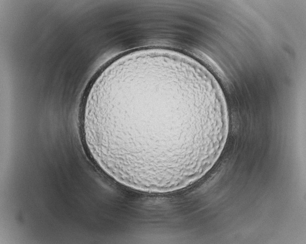 X0000116421043201001051122