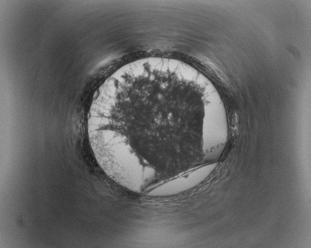 X0000116421063201001051121