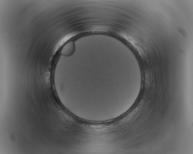 X0000116421066201001051121